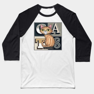 Cute Tabby Kitty Cat on CATS Baseball T-Shirt